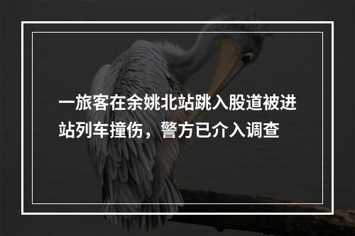 一旅客在余姚北站跳入股道被进站列车撞伤，警方已介入调查