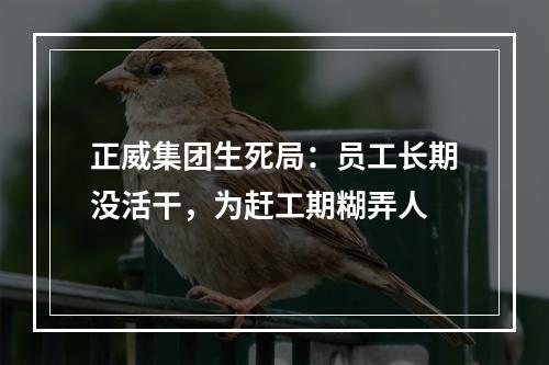 正威集团生死局：员工长期没活干，为赶工期糊弄人