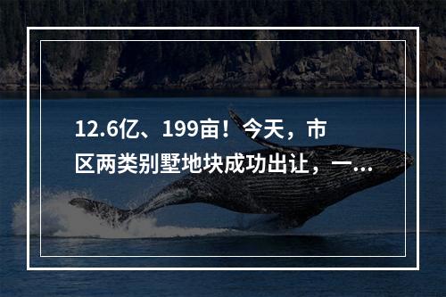 12.6亿、199亩！今天，市区两类别墅地块成功出让，一宗楼面价创新高!