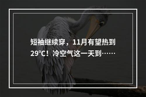 短袖继续穿，11月有望热到29℃！冷空气这一天到……