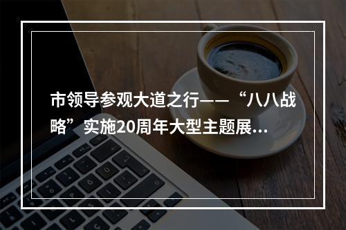 市领导参观大道之行——“八八战略”实施20周年大型主题展览