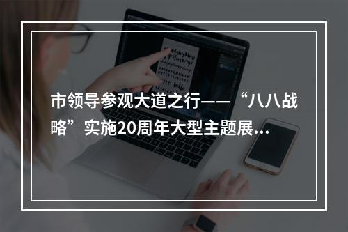 市领导参观大道之行——“八八战略”实施20周年大型主题展览