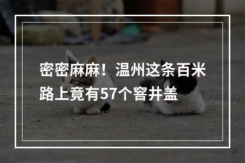 密密麻麻！温州这条百米路上竟有57个窨井盖