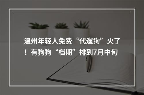温州年轻人免费“代遛狗”火了！有狗狗“档期”排到7月中旬