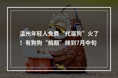温州年轻人免费“代遛狗”火了！有狗狗“档期”排到7月中旬