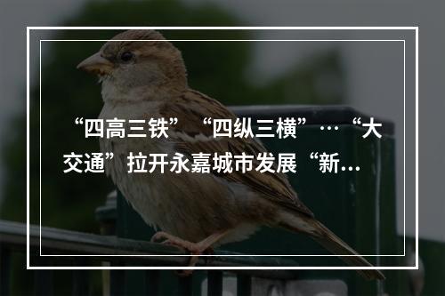 “四高三铁”“四纵三横”…“大交通”拉开永嘉城市发展“新张力”