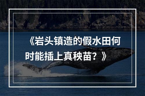 《岩头镇造的假水田何时能插上真秧苗？》