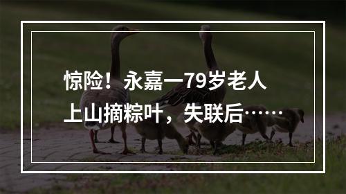 惊险！永嘉一79岁老人上山摘粽叶，失联后……