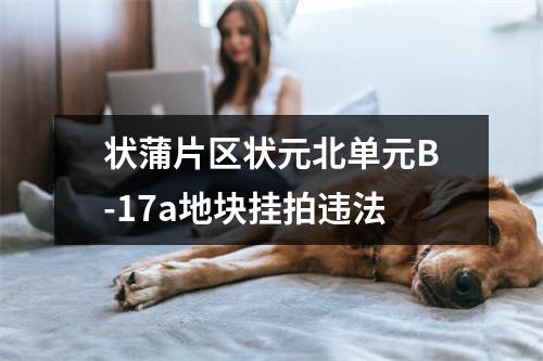 状蒲片区状元北单元B-17a地块挂拍违法