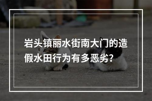 岩头镇丽水街南大门的造假水田行为有多恶劣？