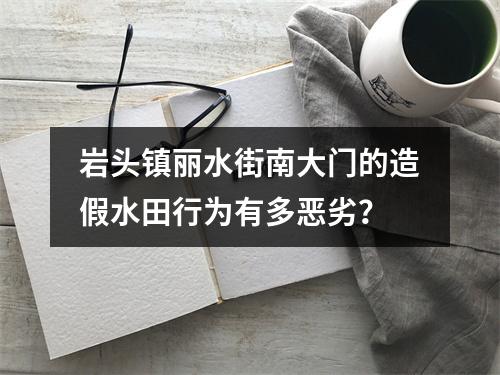 岩头镇丽水街南大门的造假水田行为有多恶劣？