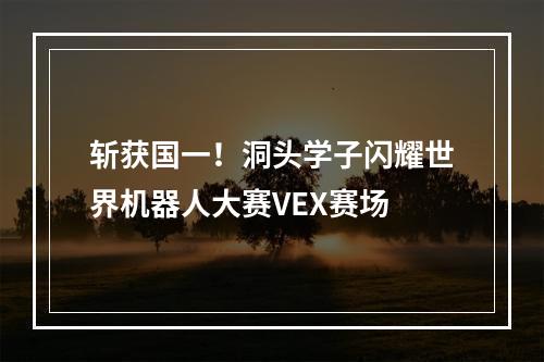 斩获国一！洞头学子闪耀世界机器人大赛VEX赛场