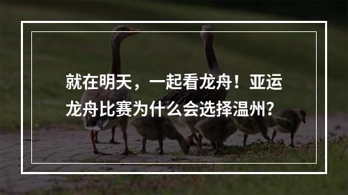 就在明天，一起看龙舟！亚运龙舟比赛为什么会选择温州？