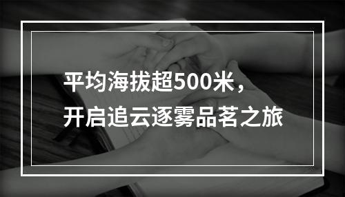 平均海拔超500米，开启追云逐雾品茗之旅