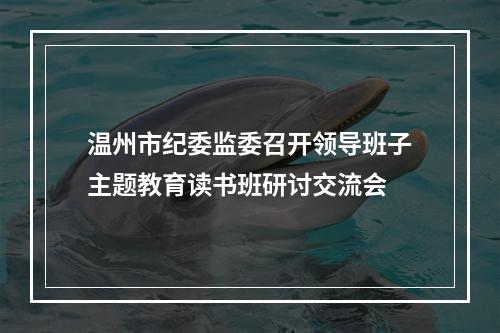 温州市纪委监委召开领导班子主题教育读书班研讨交流会