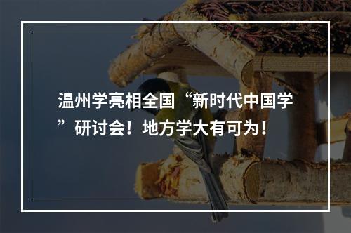 温州学亮相全国“新时代中国学”研讨会！地方学大有可为！