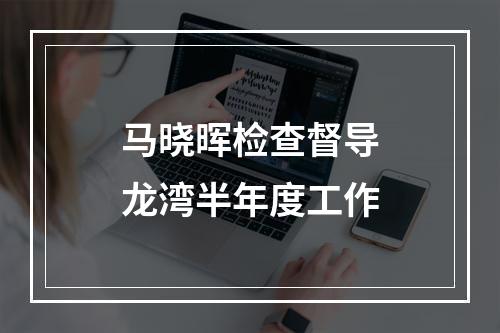 马晓晖检查督导龙湾半年度工作