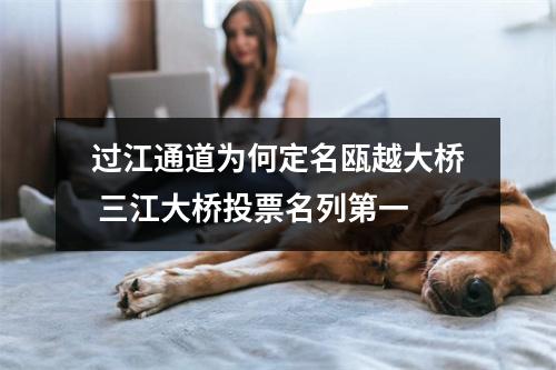 过江通道为何定名瓯越大桥 三江大桥投票名列第一