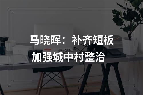 马晓晖：补齐短板 加强城中村整治
