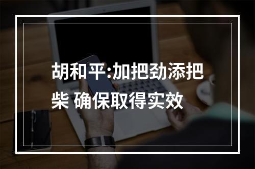 胡和平:加把劲添把柴 确保取得实效