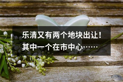 乐清又有两个地块出让！其中一个在市中心……