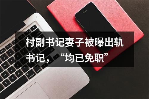 村副书记妻子被曝出轨书记，“均已免职”
