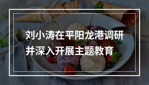 刘小涛在平阳龙港调研并深入开展主题教育