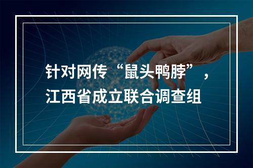 针对网传“鼠头鸭脖”，江西省成立联合调查组