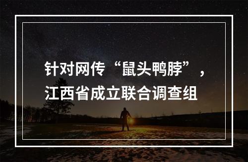 针对网传“鼠头鸭脖”，江西省成立联合调查组