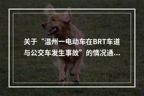 关于“温州一电动车在BRT车道与公交车发生事故”的情况通告