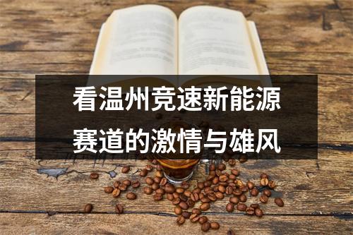 看温州竞速新能源赛道的激情与雄风