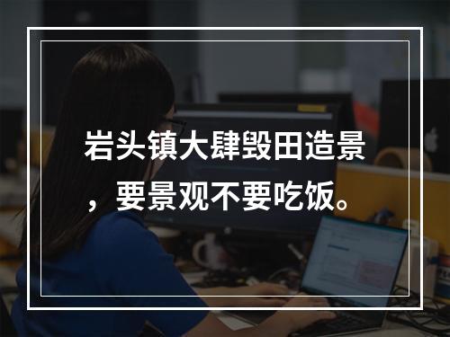 岩头镇大肆毁田造景，要景观不要吃饭。
