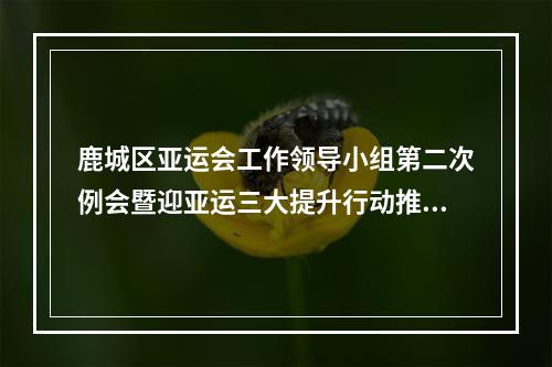 鹿城区亚运会工作领导小组第二次例会暨迎亚运三大提升行动推进会召开