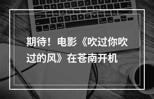 期待！电影《吹过你吹过的风》在苍南开机