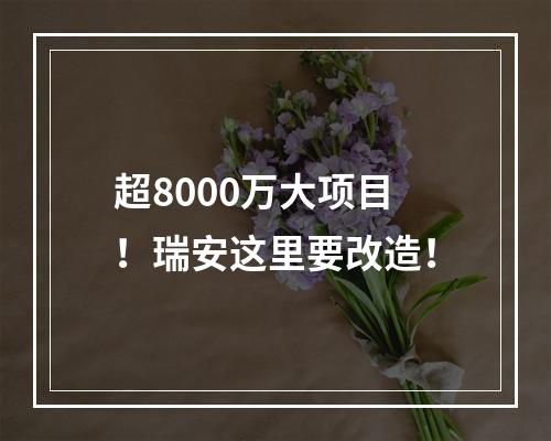超8000万大项目！瑞安这里要改造！
