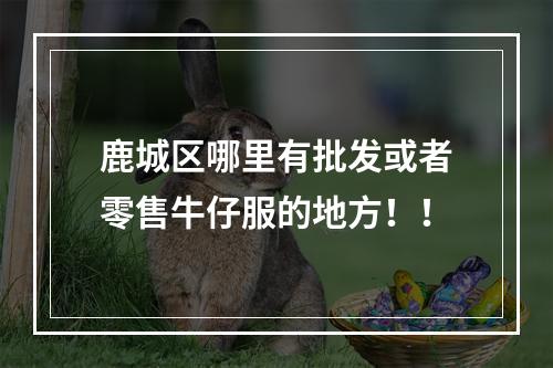 鹿城区哪里有批发或者零售牛仔服的地方！！