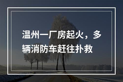 温州一厂房起火，多辆消防车赶往扑救
