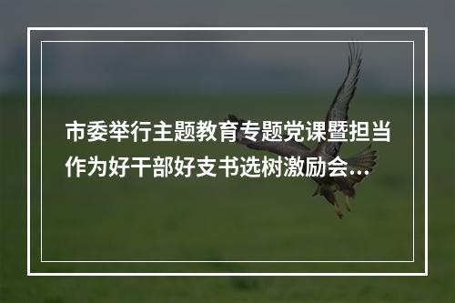 市委举行主题教育专题党课暨担当作为好干部好支书选树激励会议刘小涛作党课 ...