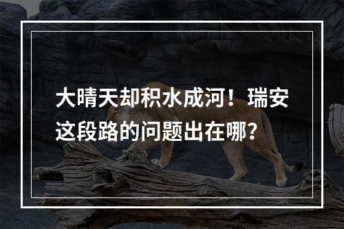 大晴天却积水成河！瑞安这段路的问题出在哪？