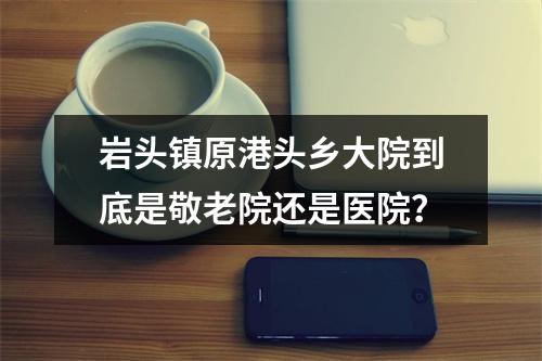岩头镇原港头乡大院到底是敬老院还是医院？