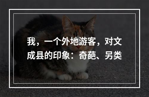 我，一个外地游客，对文成县的印象：奇葩、另类