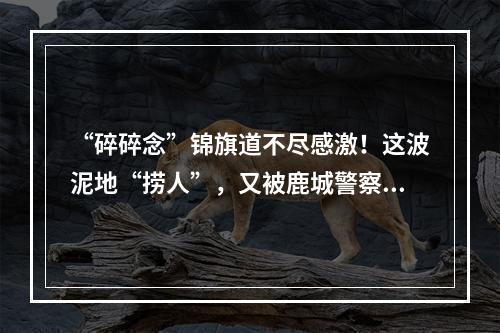 “碎碎念”锦旗道不尽感激！这波泥地“捞人”，又被鹿城警察帅到了