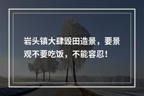 岩头镇大肆毁田造景，要景观不要吃饭，不能容忍！