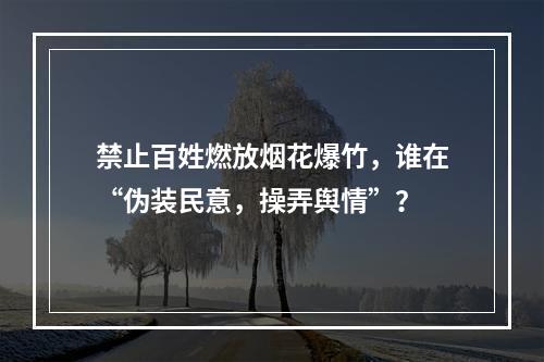禁止百姓燃放烟花爆竹，谁在“伪装民意，操弄舆情”？