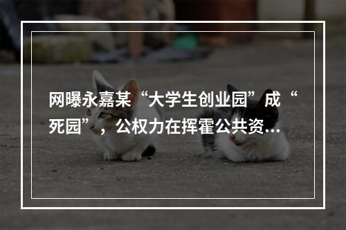 网曝永嘉某“大学生创业园”成“死园”，公权力在挥霍公共资源..
