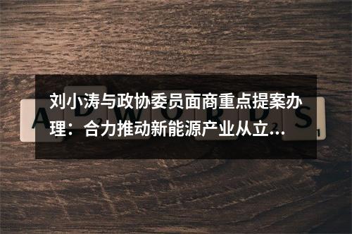刘小涛与政协委员面商重点提案办理：合力推动新能源产业从立起来迈向强起来