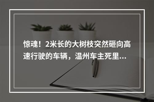惊魂！2米长的大树枝突然砸向高速行驶的车辆，温州车主死里逃生