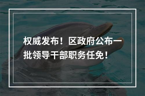 权威发布！区政府公布一批领导干部职务任免！