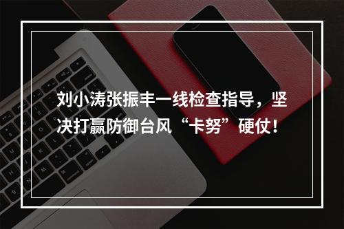 刘小涛张振丰一线检查指导，坚决打赢防御台风“卡努”硬仗！