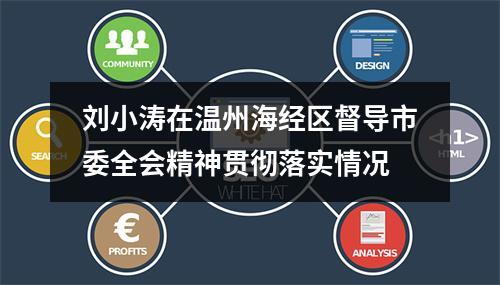 刘小涛在温州海经区督导市委全会精神贯彻落实情况